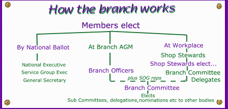 How the branch works