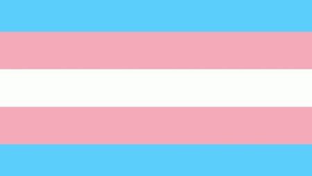 November is Transgender Awareness Month